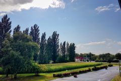 Fahrradfahren-im-Wolkenbruch-15