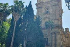 Auf-unserem-Weg-zur-Kathedrale-von-Malaga-15