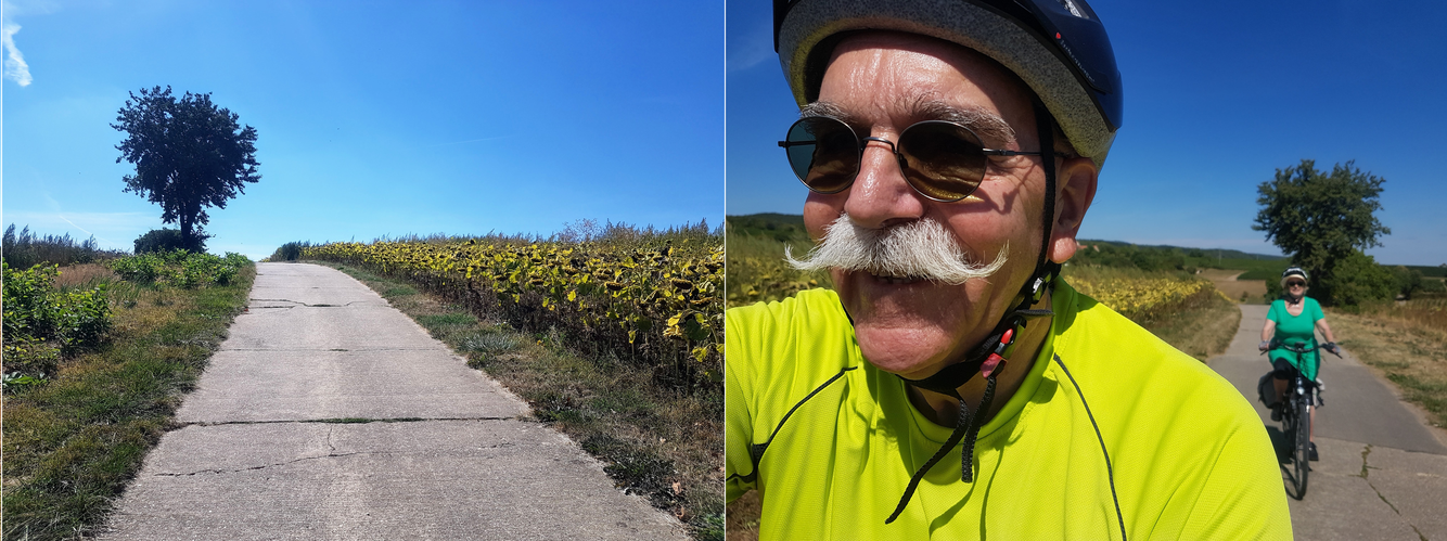 Strahlender Sonnenschein begleitete unsere Radtour