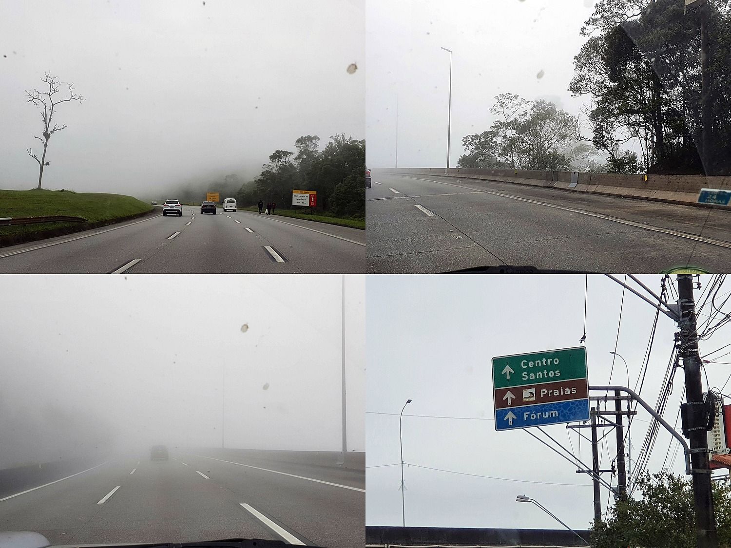 Von Sao Paulo nach Santos durch den nebelwald