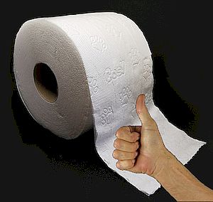 Eine Rolle Toilettenpapier