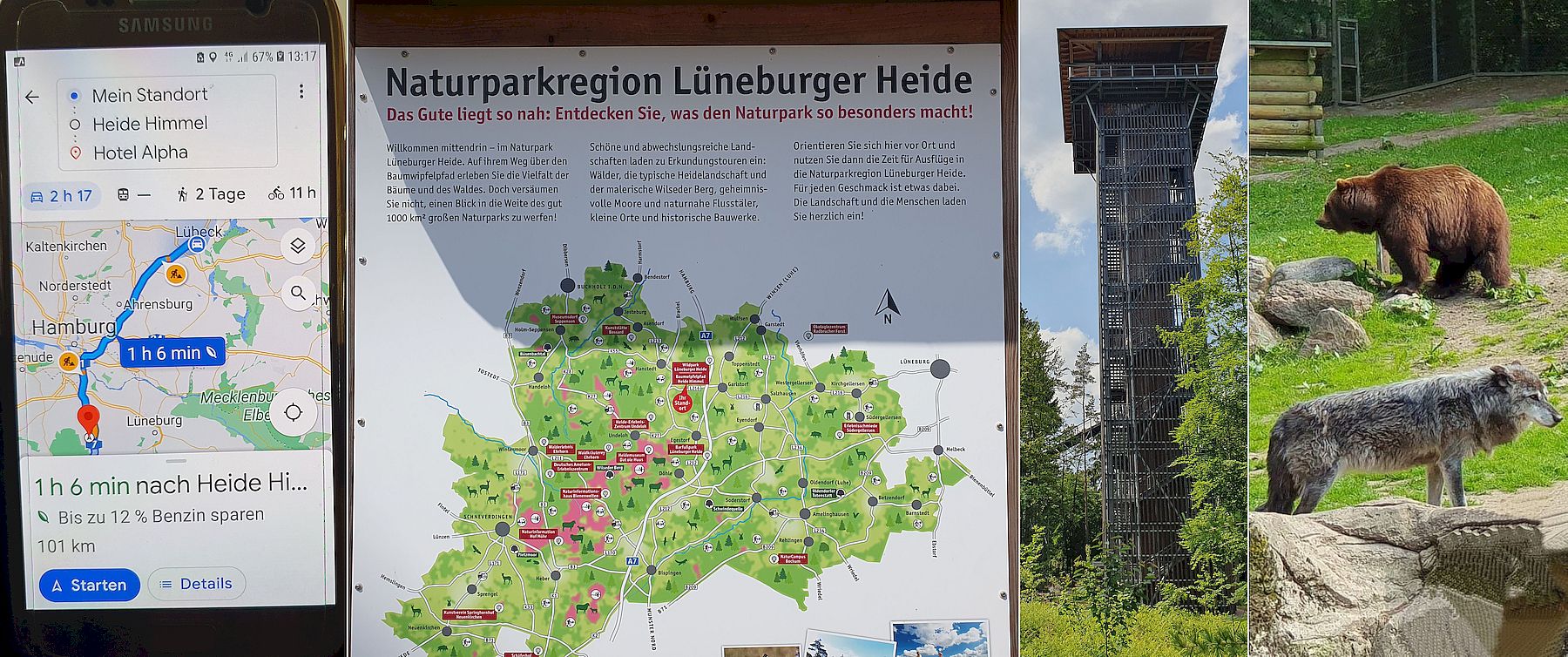 Naturpark Lüneburger Heide