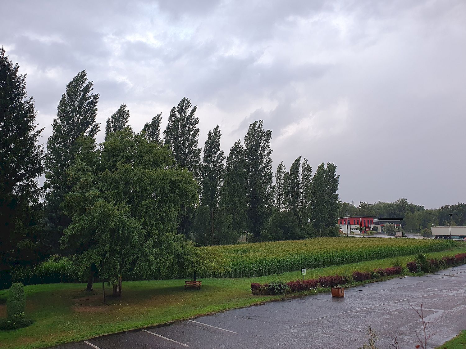 Blick aus dem Hotelfenster Regen