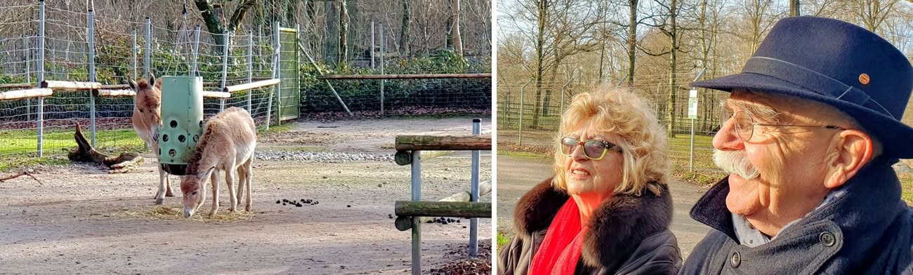 Sonniger Neujahrsspaziergang im Tierpark Oberwald Karlsruhe