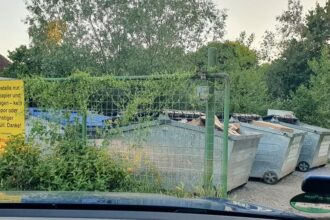 Ablagestelle für Altpapier und Kartonagen in Eggenstein