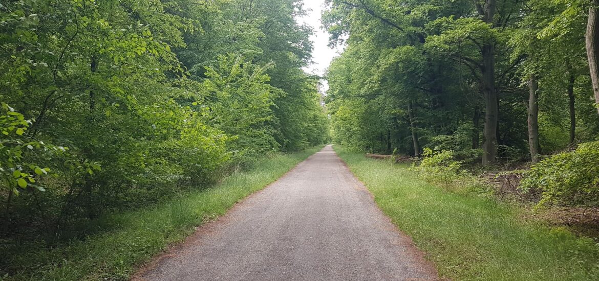Sonntag. 4. Mai 2025 dritter Tag unserer Radtour über 62 km von Ladenburg nach Eggenstein