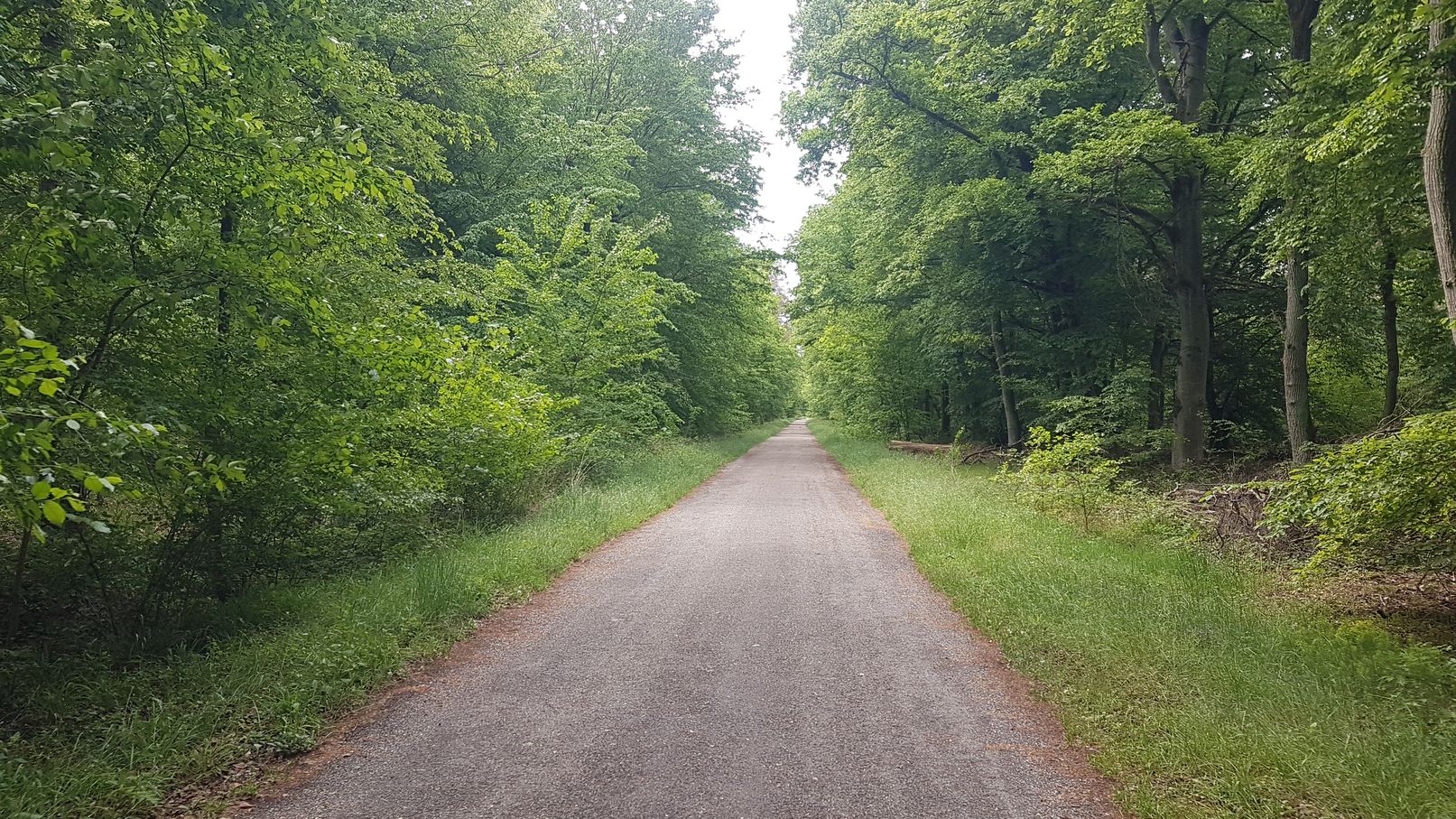 Sonntag. 4. Mai 2025 dritter Tag unserer Radtour über 62 km von Ladenburg nach Eggenstein