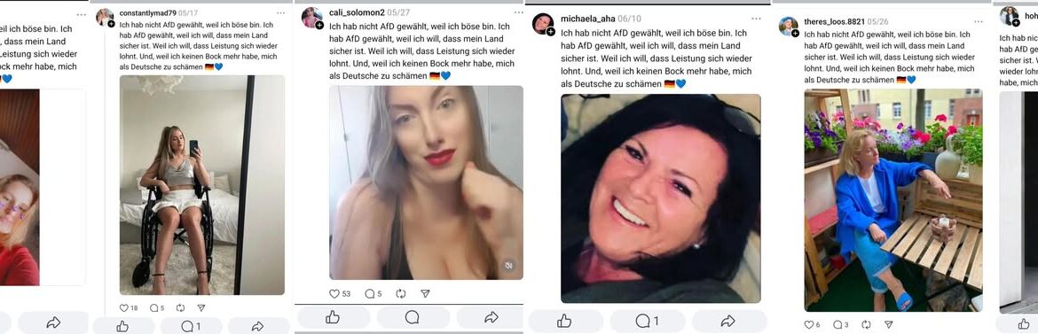 Beispiel für die systematische AfD Fakeprofil-Manipulation