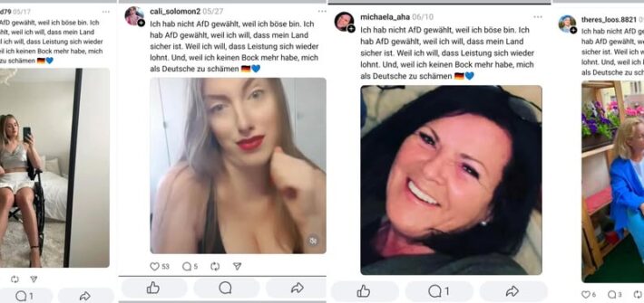 Beispiel für die systematische AfD Fakeprofil-Manipulation