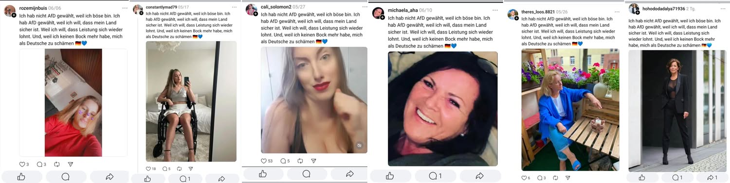 Beispiel für die systematische AfD Fakeprofil-Manipulation