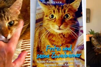 Katzenbuch von Lou Hoffner "Fritzi und seine zweibeiner"