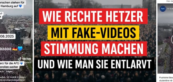 Manipuliertes Video behauptet fälschlich eine AfD-Massendemonstration in Hamburg