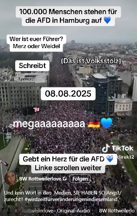 Screenshot des Fake-Videos, das fälschlich 100.000 AfD-Demonstranten in Hamburg zeigt