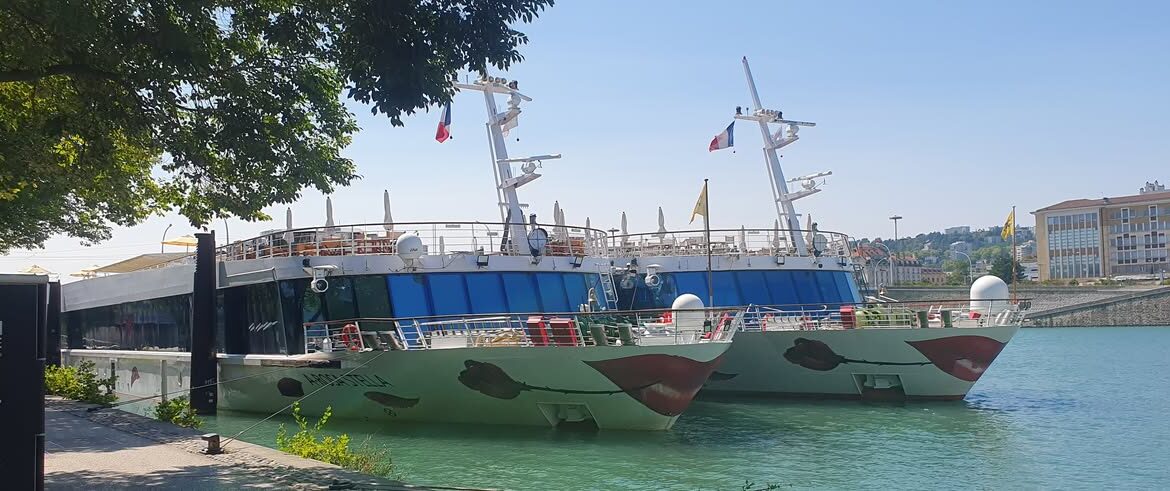 Flussreise Lyon Mittelmeer – Etappe 4: Einschiffung A-Rosa Stella auf der Rhône