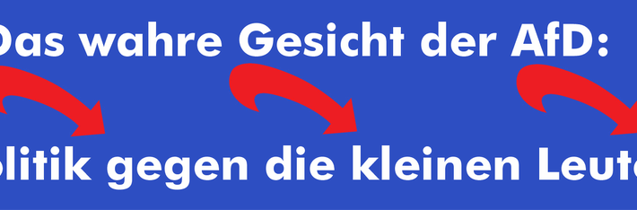Die AfD macht Politik gegen die kleinen Leute