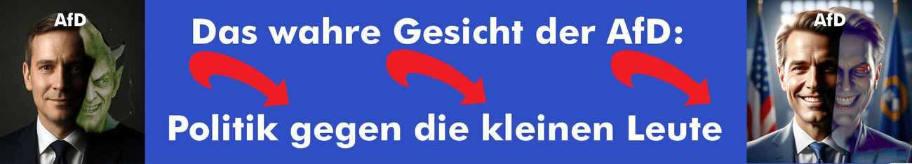 Die AfD macht Politik gegen die kleinen Leute