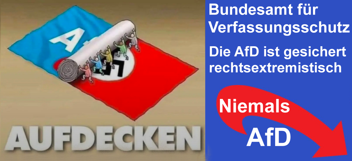 AfD gesichert rechtsextremistisch. Lügen und Hetze der AfD
