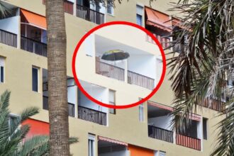 Teneriffa der tapfere Sonnenschirm