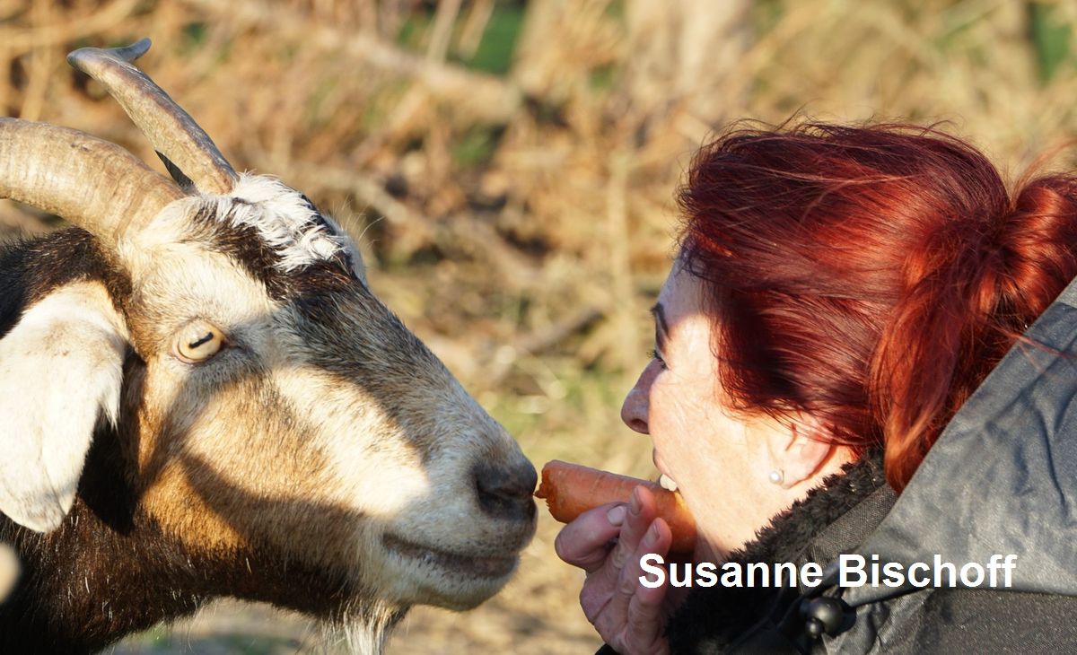 Susanne Bischoff mit einem treffenden Kommentar zur AfD-Vetternwirtschaft