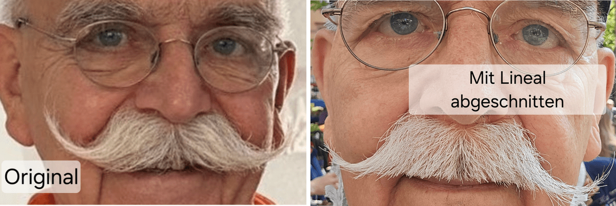 Barber Shop Erfahrung. Mutig gewesen. Fehler gemacht. Bart verloren.