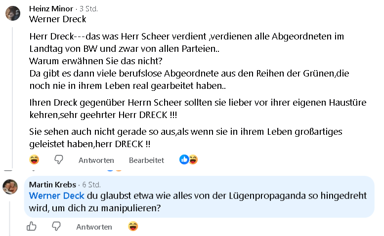 AfD Pöbeleien und Beleidigungen